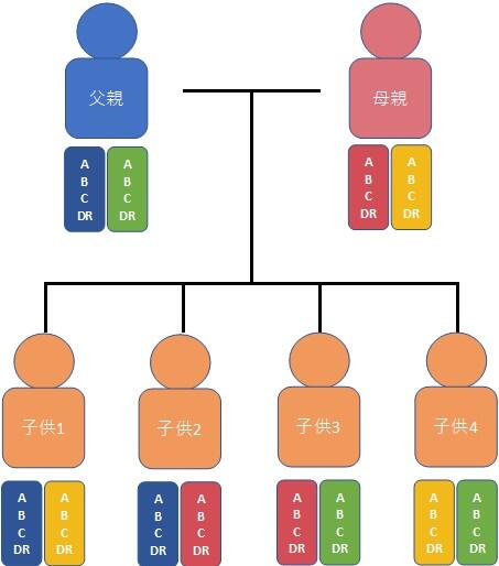 検査科HP(組織適合性検査-HLA-画像).jpg