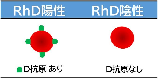 検査科HP(輸血検査-血液型-画像2).jpg