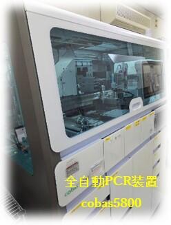 検査科HP(微生物検査-全自動PCR装置-画像).jpg